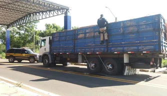 Caminhão apreendido com cerca de 24 m³ de madeira ilegal.