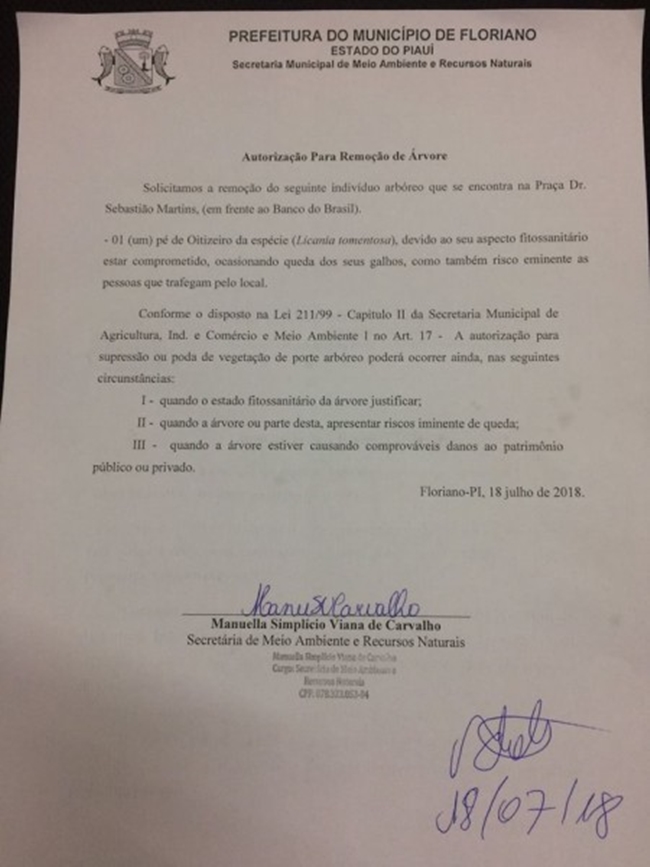 Manuela Simplício assina autorização para retirada da árvore centenária.