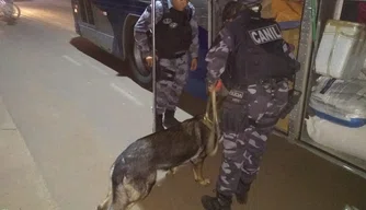 Polícia Militar realiza operação para coibir tráfico de drogas em Picos
