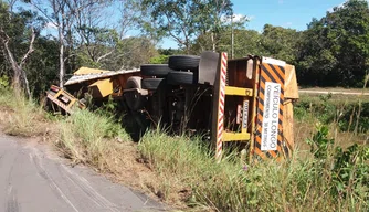 O veículo de carga invadiu o matagal próximo ao acostamento da rodovia.