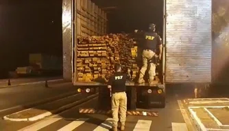 Uma carga de 50,4 m³ de madeira serrada sem licença foi apreendida pela PRF.