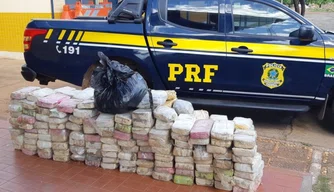 PRF apreende drogas avaliadas em R$ 6 milhões na BR-316