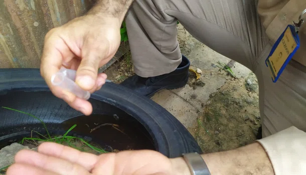 Teresina tem baixo risco de infestação do mosquito da dengue