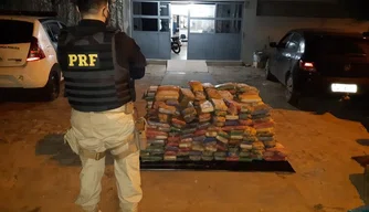 PRF apreende 379,6 kg de maconha em Picos.