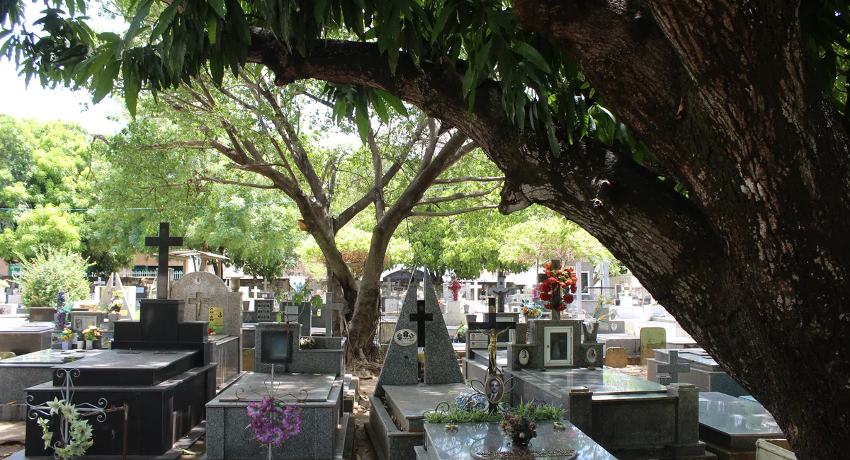 Cemitério São Judas Tadeu - Dia dos Finados