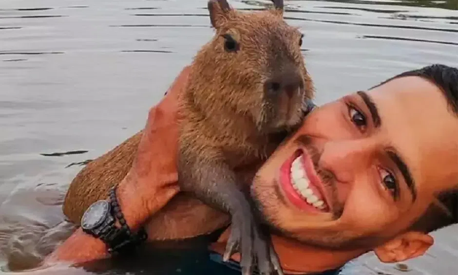 Justiça decide que capivara volte a ficar com influencer em