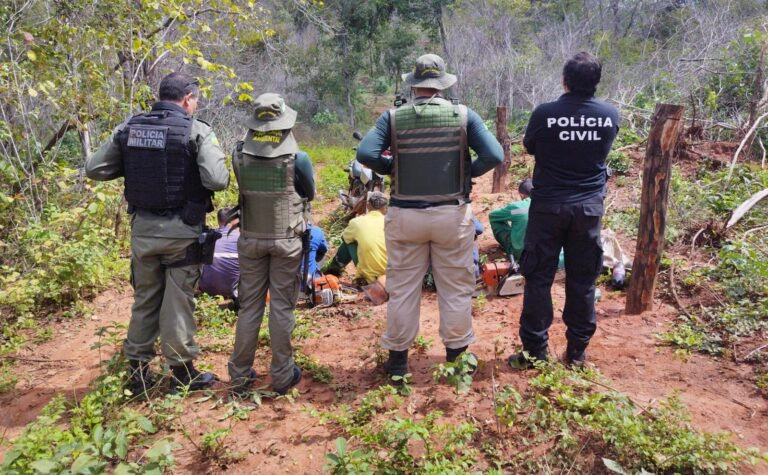 Polícia Ambiental faz 5 prisões na Operação Cerrado Vivo no Piauí