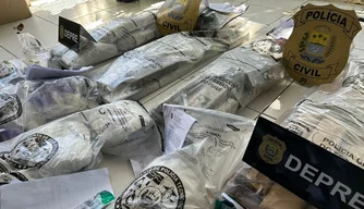Polícia Civil incinera mais de 130 kg de drogas no Piauí.