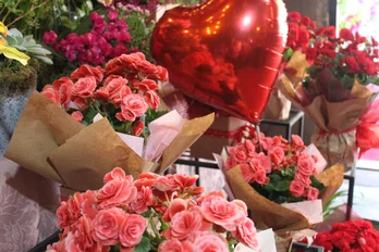 Dia dos Namorados impulsiona venda de flores em Teresina