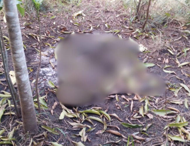 A ossada foi encontrada no bairro Todos os Santos.