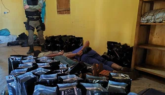Polícia Militar localiza roça de maconha e depósito de drogas no Piauí