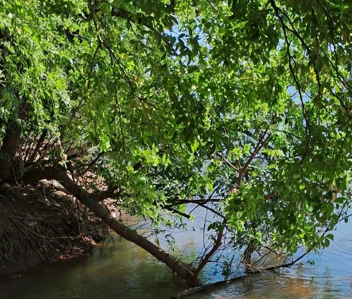 Corpo de homem é encontrado às margens do Rio Parnaíba em Timon