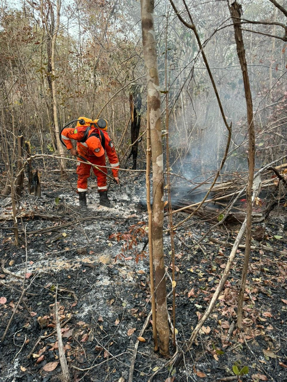 O incêndio demorou quase 24 horas para ser contido