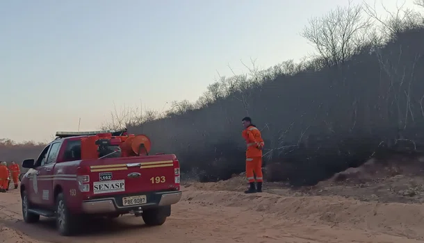 Bombeiros e brigadistas combatem incêndio em Pedro Laurentino