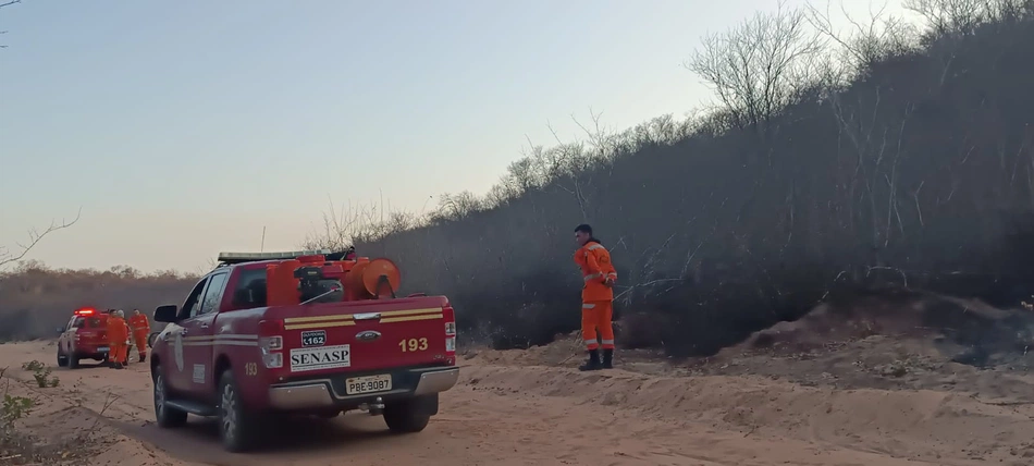 Bombeiros e brigadistas combatem incêndio em Pedro Laurentino