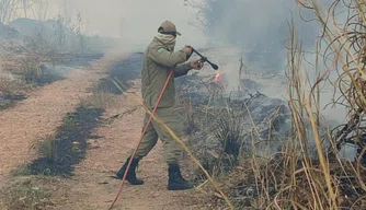 Incêndio atinge áreas na UFPI em Teresina