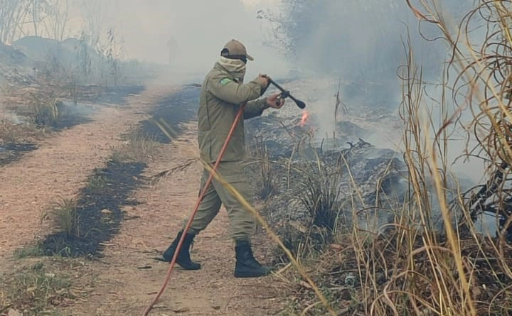 Incêndio atinge áreas na UFPI em Teresina