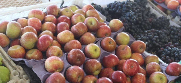 Comerciantes da Nova Ceasa de Teresina se preparam para alta nas vendas de final de ano