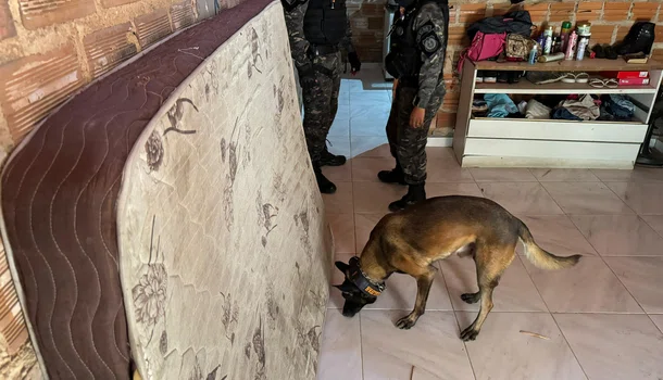 DRACO deflagra operação e prende membros de organizações criminosas em Teresina