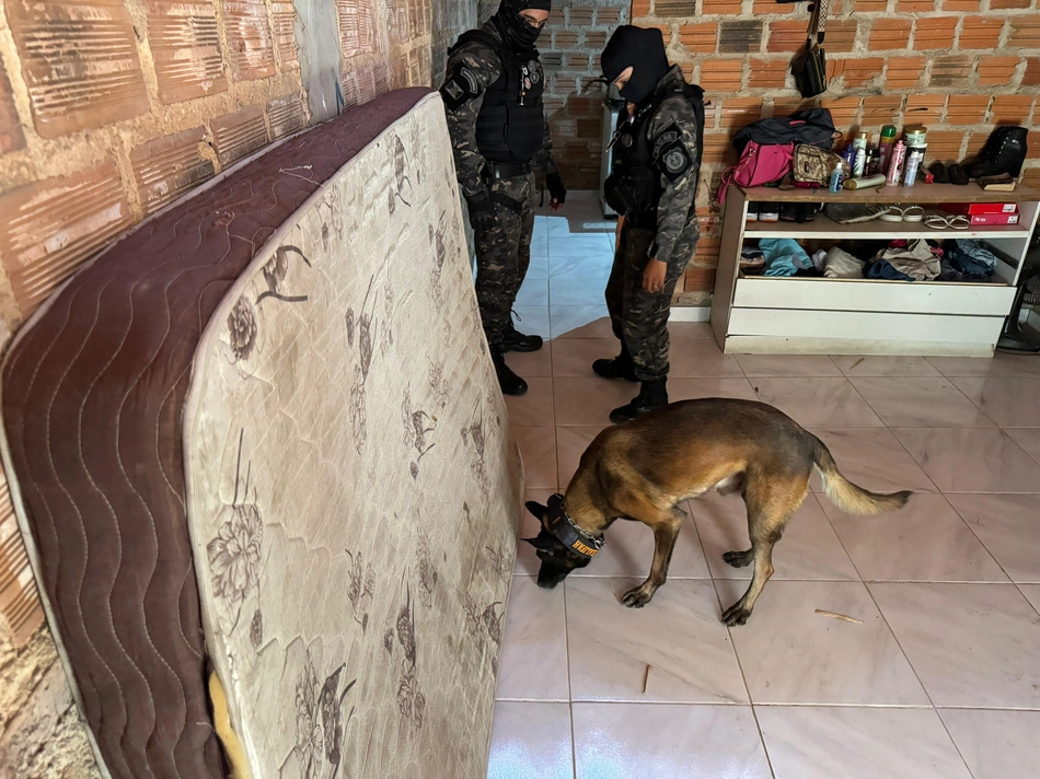 DRACO deflagra operação e prende membros de organizações criminosas em Teresina