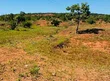 Semarh realiza lançamento da cartilha sobre desertificação e áreas degradadas no Piauí