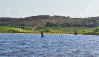 Área de proteção ambiental em Paulistana