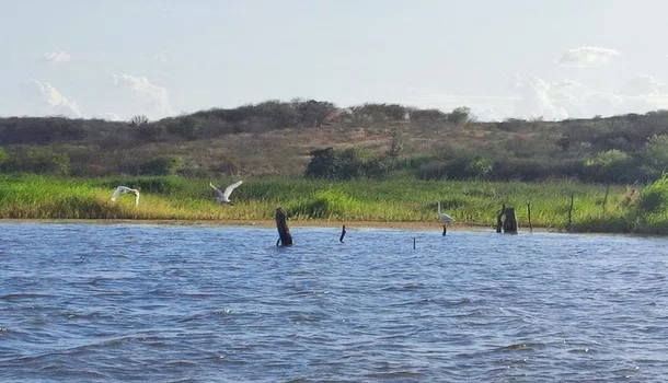 Área de proteção ambiental em Paulistana