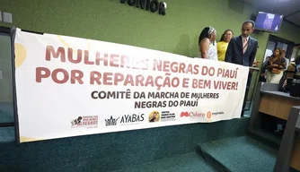 Audiência Pública Alepi