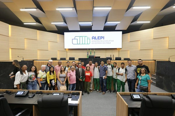 Representantes em audiência pública na Alepi