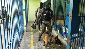 Vistoria com cães farejadores em penitenciária em Teresina