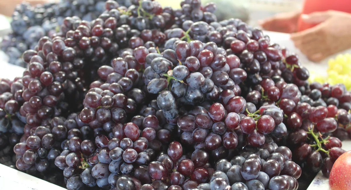 Vendas de frutas mais procuradas para o Natal