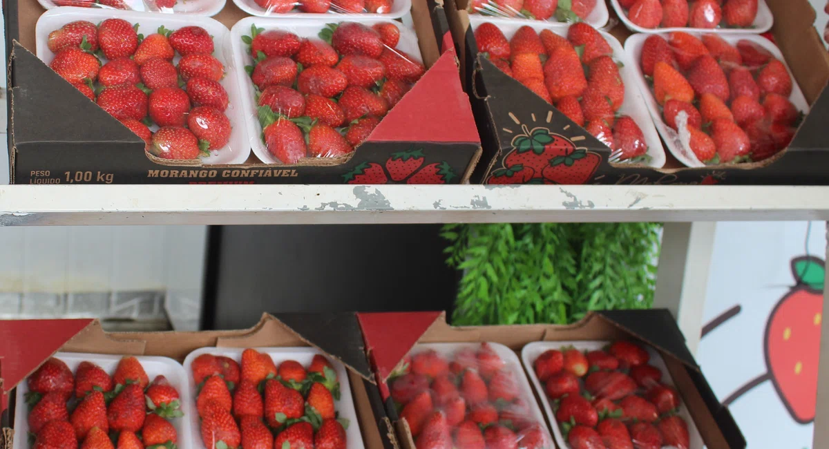 Vendas de frutas mais procuradas para o Natal