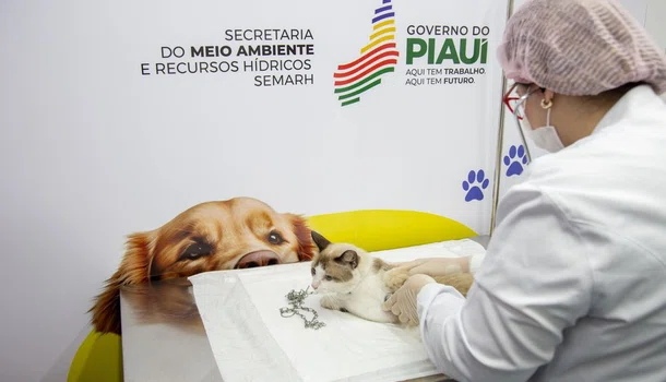 Piauí Pet Castramóvel