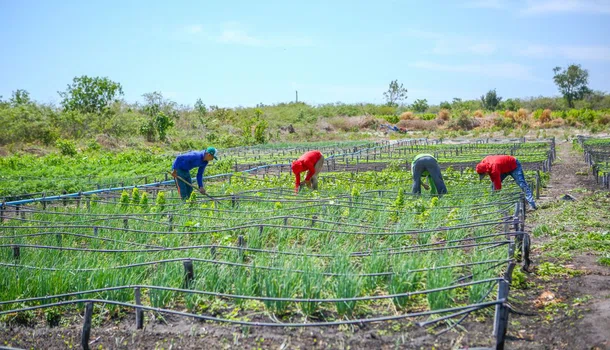 Agricultura familiar