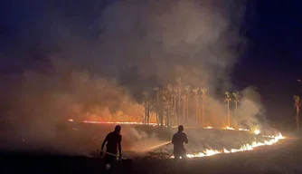 Combate a incêndio pelo Piauí