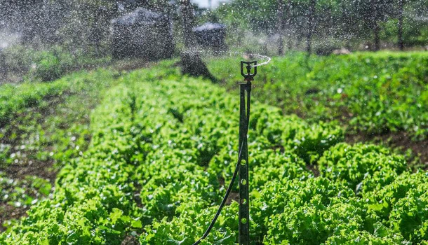 Programa de Valorização da Agricultura Familiar