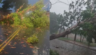 Ocorrências durante fortes chuvas em Teresina