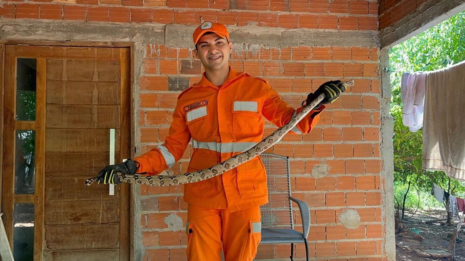 Bombeiro Militar em resgaste de animal silvestre