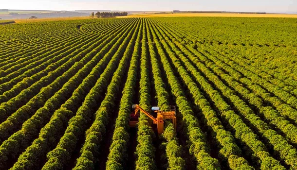 Crescimento no setor agropecuário