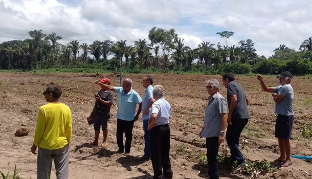 Prefeitura de Teresina e Embrapa incentivam o cultivo do feijão Caupi