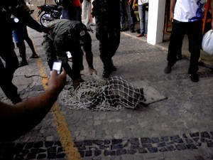 Policiais do Batalhão Ambiental, BPRone e Corpo de Bombeiros se mobilizaram para resgatar o guaxinim (Imagem:Reprodução)