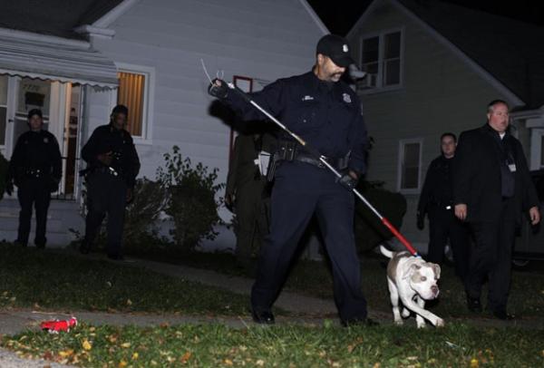 Cachorro que atacou bebê é retirado de casa em Detroit (Imagem:Divulgação)