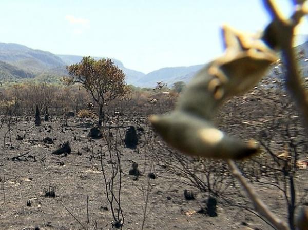 Incêndio destrói vegetação na Serra do Cipó (Imagem:Reprodução/TV Globo))