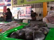 Mercado do Peixe é referência na comercialização de pescados em Teresina