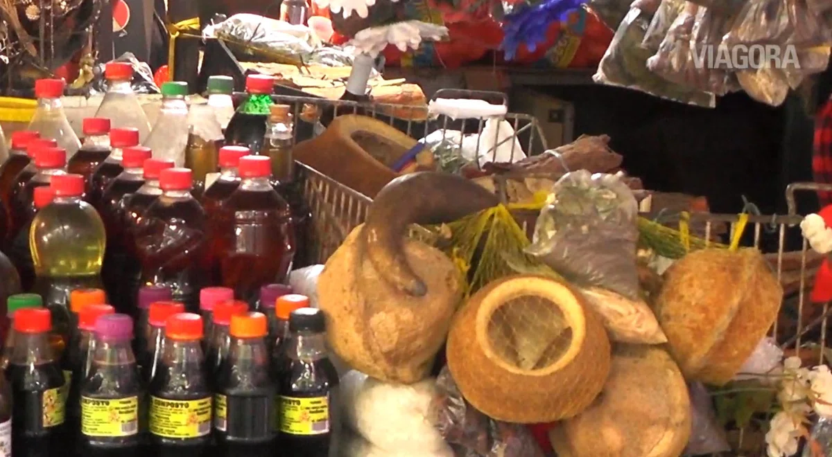 Plantas medicinais tem grande procura no Mercado Central de Teresina